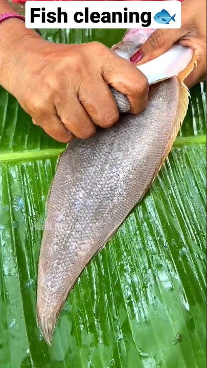 Nang fish cleaning (sole fish)