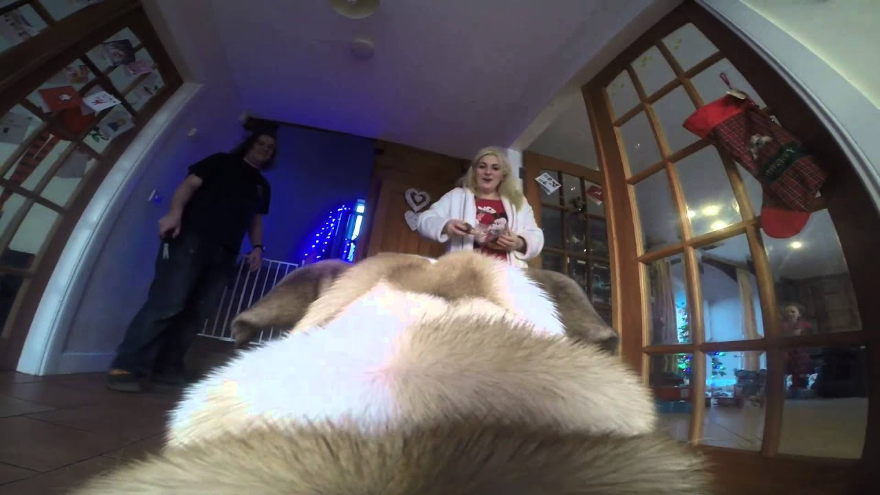 Bettycam Videos Bettycam Videos