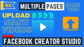 How to upload Multiple videos on Facebook [Facebook Creator studio]