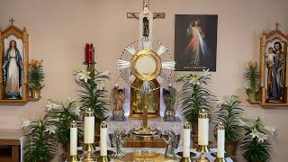 LIVE Eucharistic Adoration - Sisters of Divine Mercy