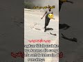 اللهم آمنهم من خوف اللهم كن لهم ناصرا ومعينا Biographiesoffamouspeople اكسبلور اللهم آمنهم من خوف اللهم كن لهم ناصرا ومعينا Biographiesoffamouspeople اكسبلور