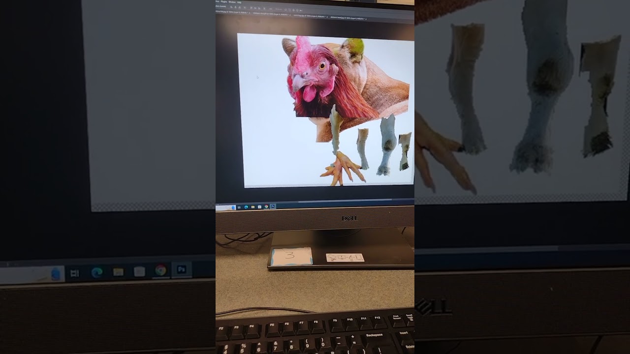 me making a cougar as chicken's face in school on Photoshop