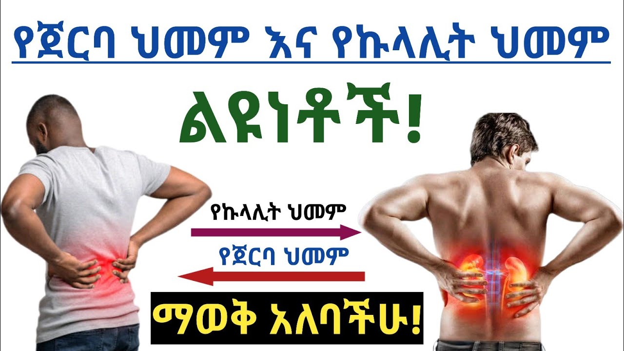 የኩላሊት ህመም እና የጀርባ ህመም መሠረታዊ ልዩነቶች| ግዴታ ማወቅ አለባችሁ| The difference between Kidney pain and back pain