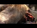 Descargar 02: Asesinan a hombre lobo en Durango - Oaxaca Paranormal Descargar 02: Asesinan a hombre lobo en Durango - Oaxaca Paranormal
