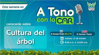 A tono con la CAR - Programa radial #74