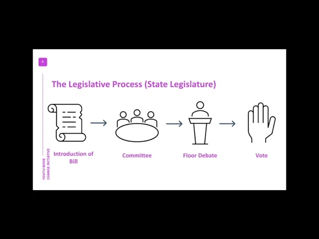 Advocacy 101
