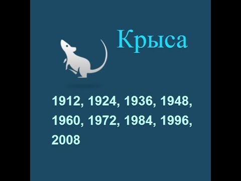 Год крысы, гороскоп составленный психологом Натальей Кучеренко.