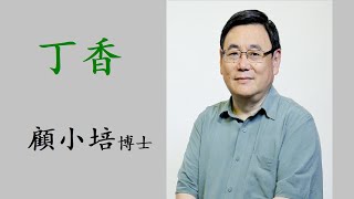 丁香《顧本培元》顧小培