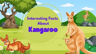 Kangaroo I Interesting Facts #youtubekids #kidslearning #wildanimals #animalfacts