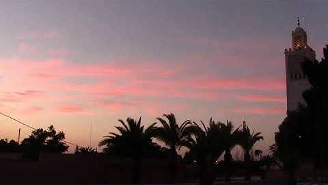 تلاوة جميلة من أواخر سورة الحجر للقارئ طلحة الدريوش