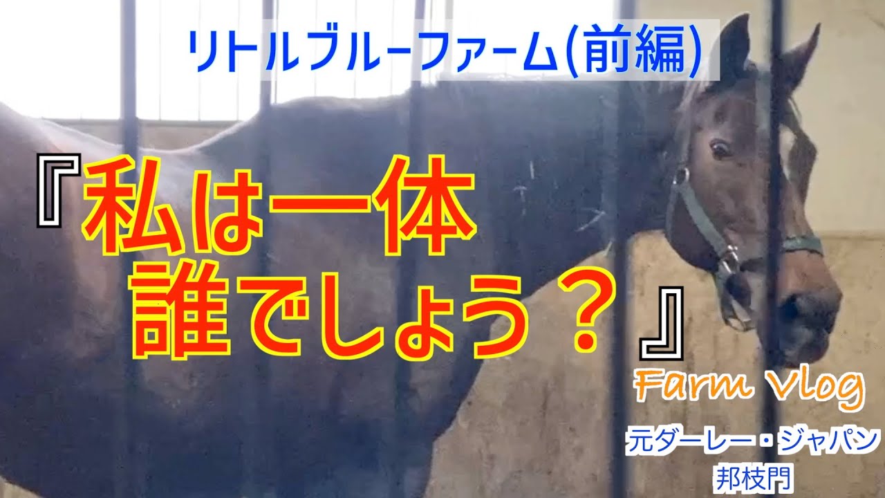 リトルブルーファームの日常(北海道十勝)