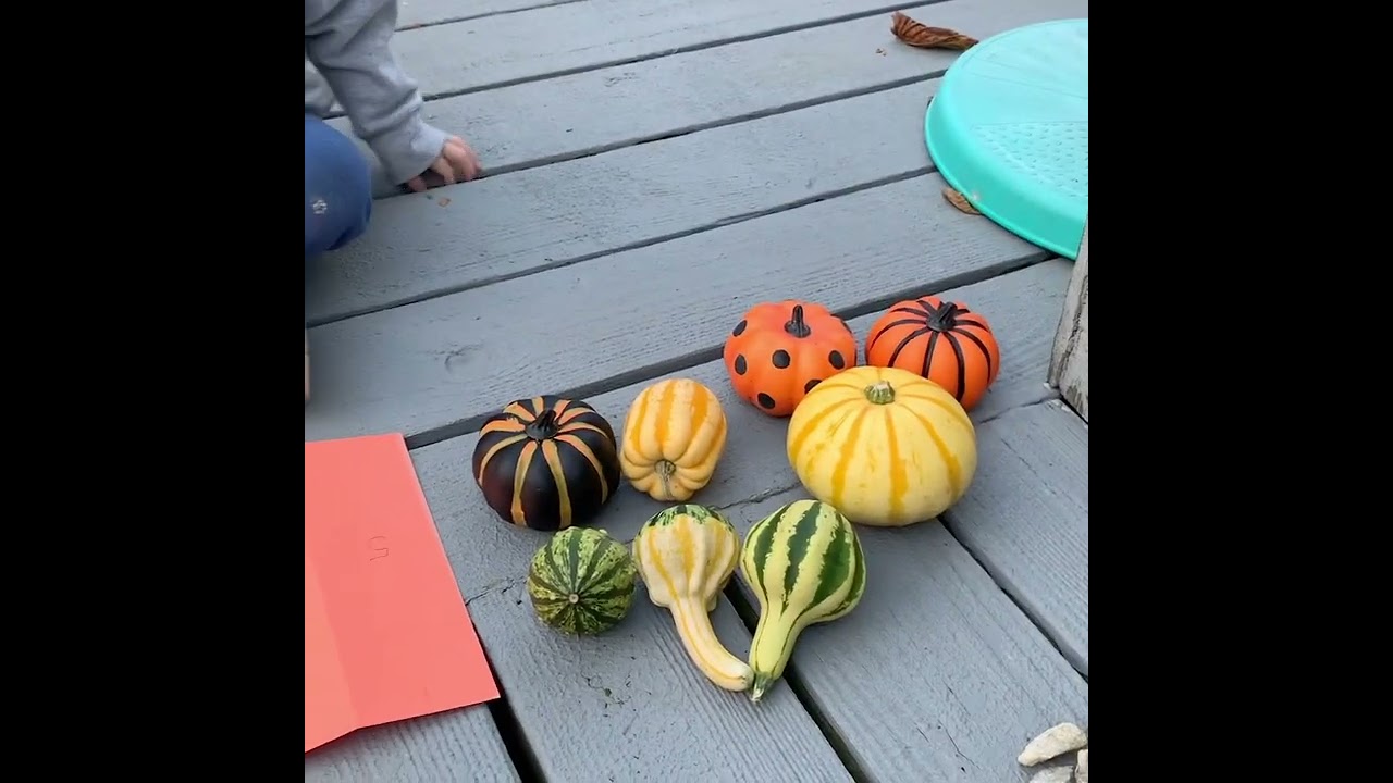 Fall, math, counting activity!