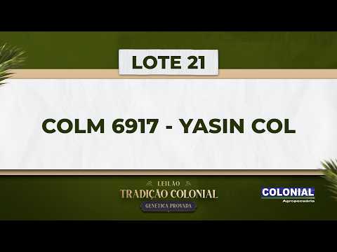 LOTE 21    COLM 6917   YASIN COL