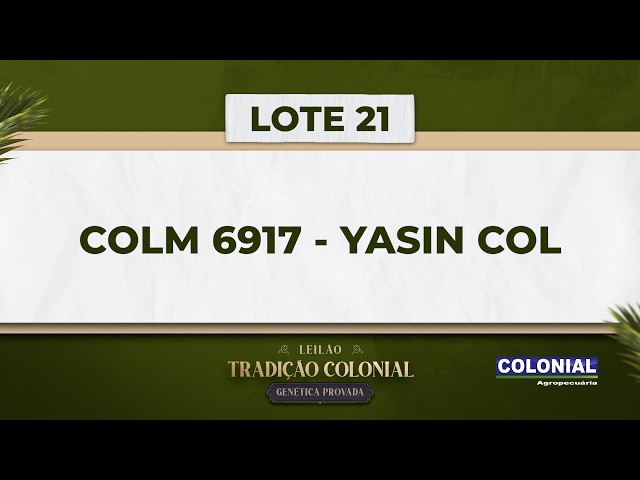 LOTE 21    COLM 6917   YASIN COL