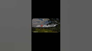 القرأن الكريم، المنشاوي، سورة ال عمران، #اسبانيا #علي_ولي_الله