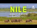 Untamed Nile Where Africa S Biggest Lake Meets Its Longest River 4K Nature Documentary 