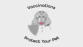 Pet Vaccines: Important for your pet and your community