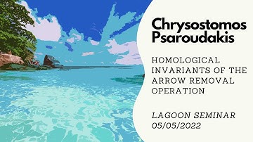 Chrysostomos Psaroudakis: Homological invariants of the arrow removal operation (05/05/2022)