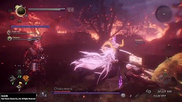 Nioh 2 yokai shift glitch
