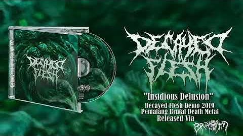 DECAYED FLESH - Demo 2019 (Video teaser)