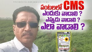 Cms Fertilizer Macronutieants In Plant సతల పషకల కలషయమ, మగనసయ,సలఫర.