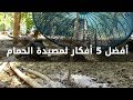 مصيدة الحمام - فخ الحمام - أفضل 5 أفكار لصنعها