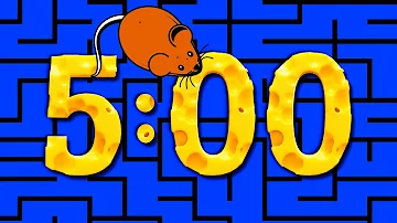 5 Minute Timer [MOUSE MAZE] 🐭