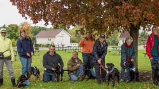 Leader Dogs for the Blind is looking for host families