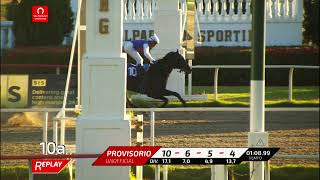 Vidéo de la course PMU PRIX PALM ISLAND