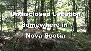 Man and Dog Walking in Woods During Hiking Ban in Nova Scotia