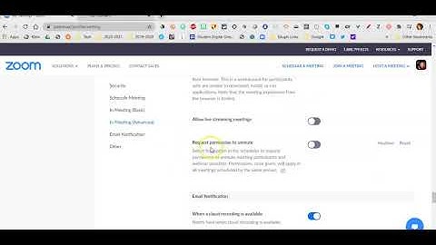 Unmuting Participants in Zoom