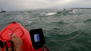 Tarpon madness. Fishing in Boca Grande Pass on a kayak.