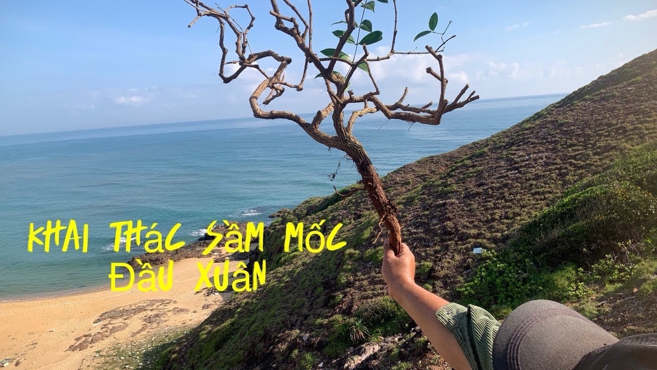 Khai xuân đầu năm- khai thác sầm mốc.
