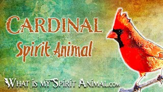 Cardinal Spirit Animal | Cardinal Totem & Power Animal | Cardinal Symbolism & Meanings