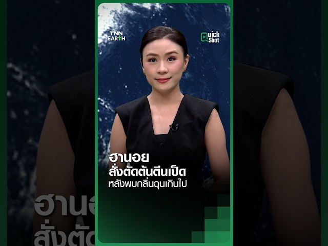 ฮานอยสั่งตัดต้นตีนเป็ดหลังพบกลิ่นฉุนเกินไป | TNN EARTH | 21-10-2569
