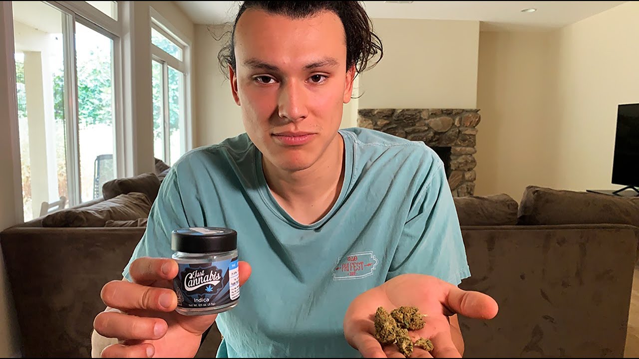 Brand Review - Just Cannabis (PURPLE PUNCH)