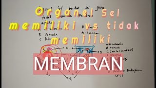 Organel Sel yang memiliki dan tidak memiliki membran [prediksi SBMPTN]