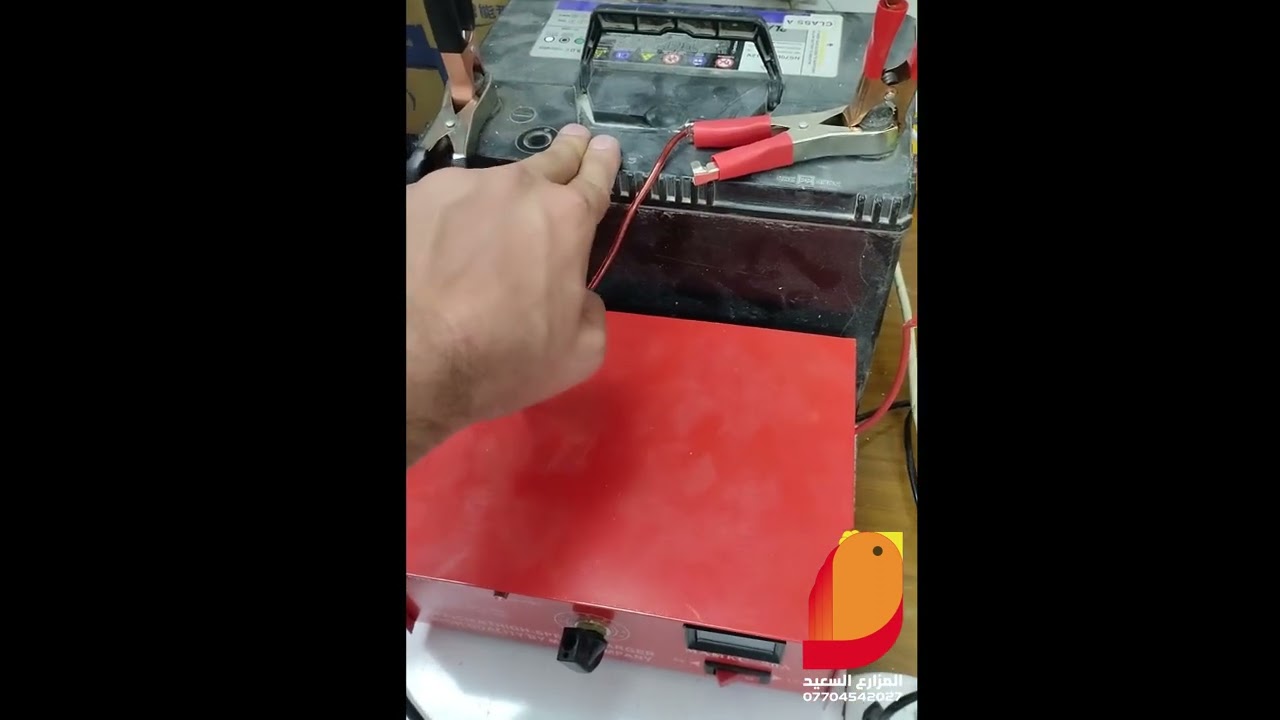 لاول مرة فقاسة فل اتوماتيك تعمل على بطارية السيارة 12 فولت تصنيع محلي
