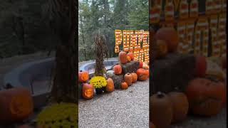 Pumpkin Show at Naumkeag © Sachin Sawe #naumkeag #thetrustees #trustees #stockbridge #berkshires