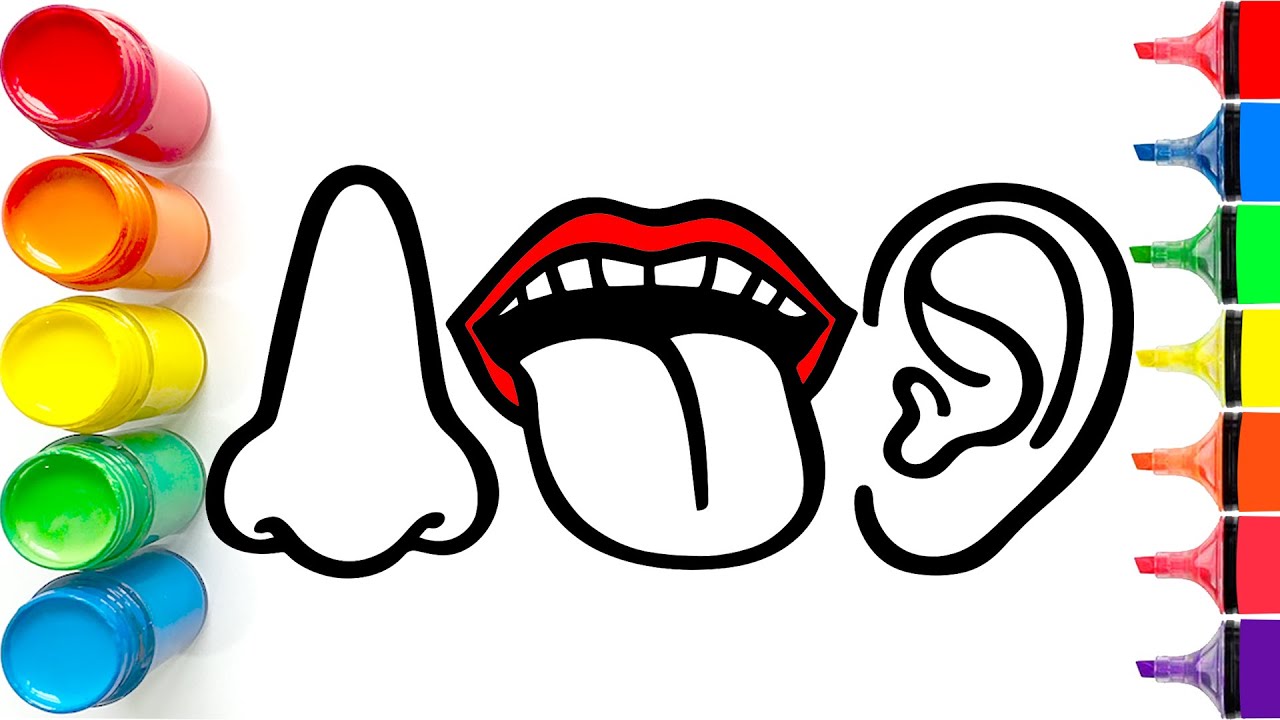 How to Draw a Nose, Mouth, and Ear | Step by Step Easy Drawing Tutorial