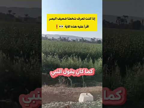 Benefit For Anyone Suffering From Poor Eyesight