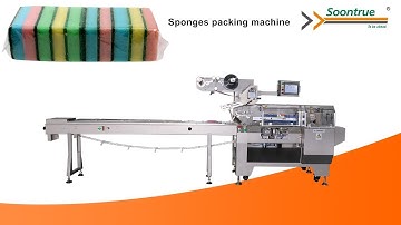 Sponge wrapping machine SZ602W - Soontrue flow wraper