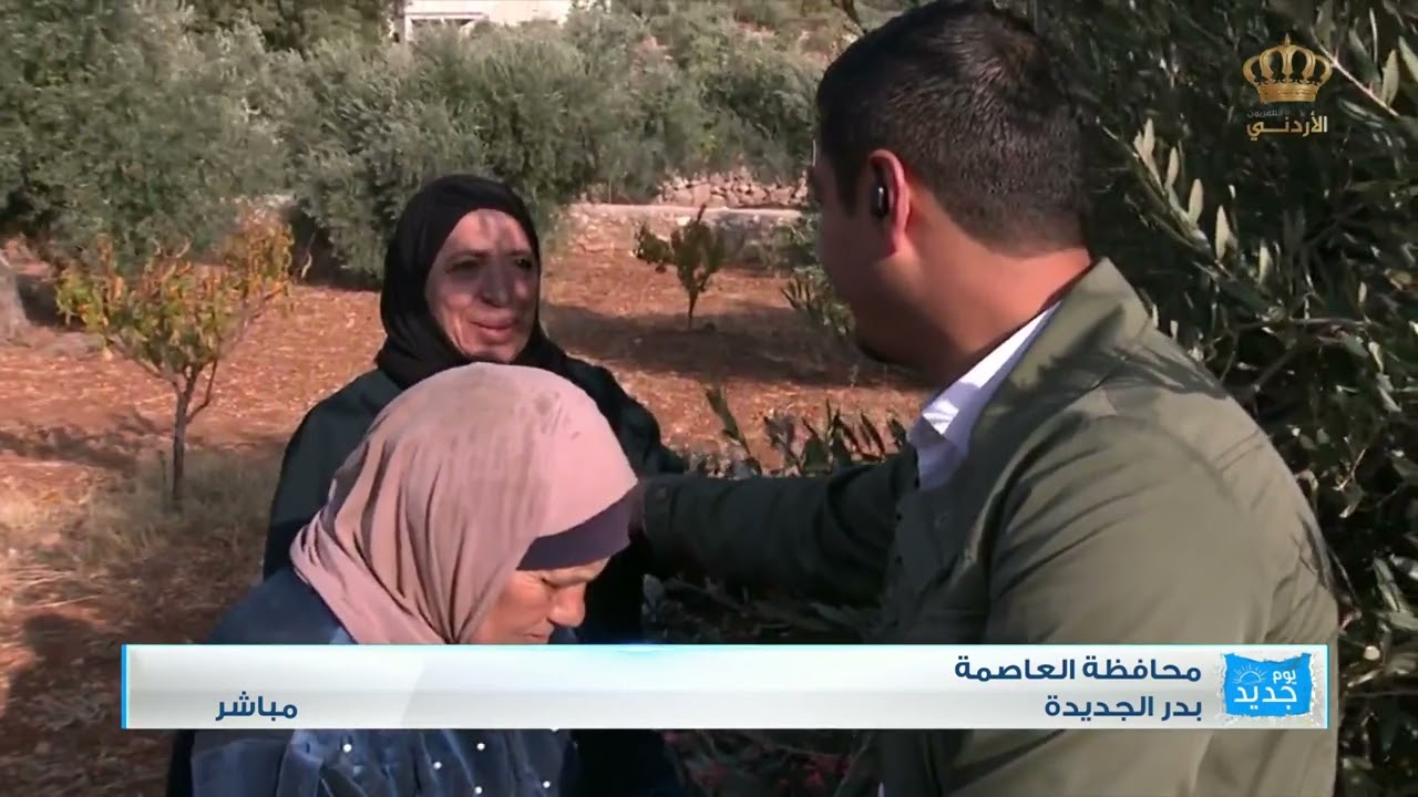 فزعة الأهل والجيران في قطف الزيتون | منطقة بدر الجديدة