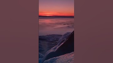 Можно ли стать программистом за день? ДА!!! #Shorts