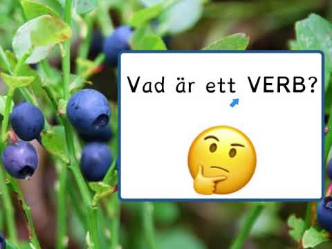 Video: Vad är ett portokonto?