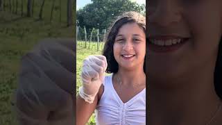 Dany Logrado Compilation Comprinhas De Farmácia Amooo