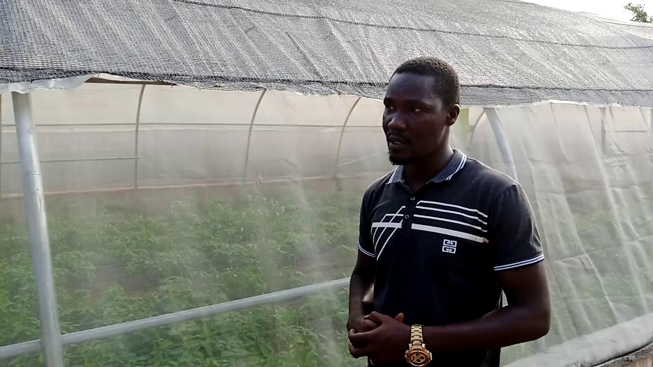 Construction of the Green House for Snail Production