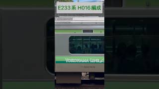 JR東日本 横浜線 E233系6000番台 H016編成 (海側・鉄道サイドビュー) 【JR EAST 2023.8 / TRAIN SCAN】