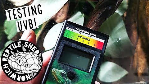 Can This Device Save Money On UVB Lamps?! - Testing UVB With Solarmeter 6.5R #reptiles #savemoney