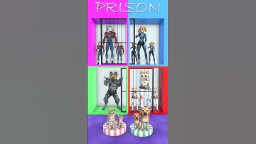 DANCING AND HAVING FUN WITH THE BOSSES #dog #cat #cute #funny #shots